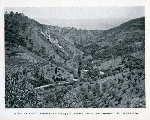 Under the Southern Cross - Glimpses of Australia - 1908