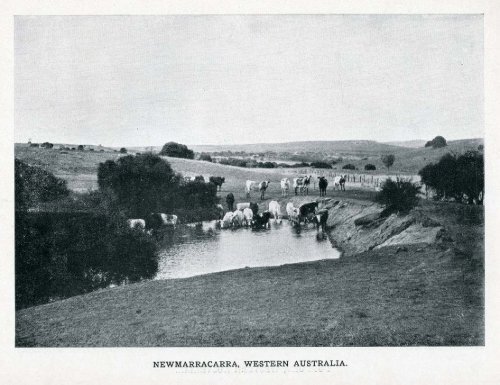 Under the Southern Cross - Glimpses of Australia - 1908