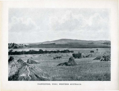 Under the Southern Cross - Glimpses of Australia - 1908