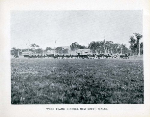 Under the Southern Cross - Glimpses of Australia - 1908