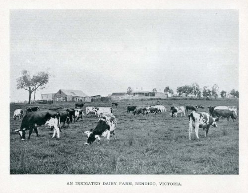 Under the Southern Cross - Glimpses of Australia - 1908