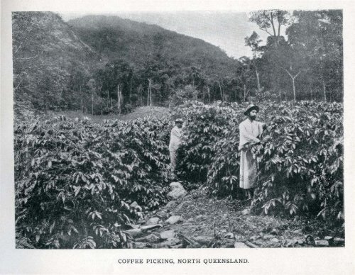 Under the Southern Cross - Glimpses of Australia - 1908