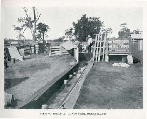 Under the Southern Cross - Glimpses of Australia - 1908