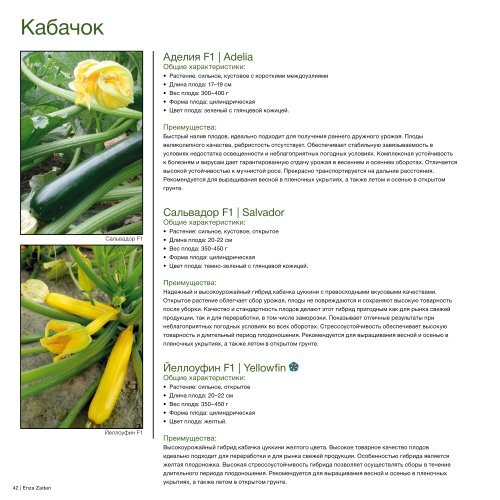 Каталог семян овощных культур для пленочных теплиц и открытого грунта 2023-24