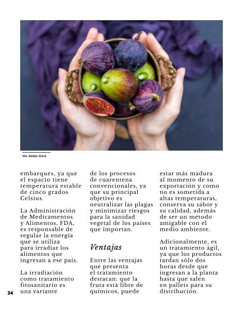 Regionalización contra Globalización-Quién es Quién Sin Fronteras 9a edición Noviembre 2022 - RQQsF