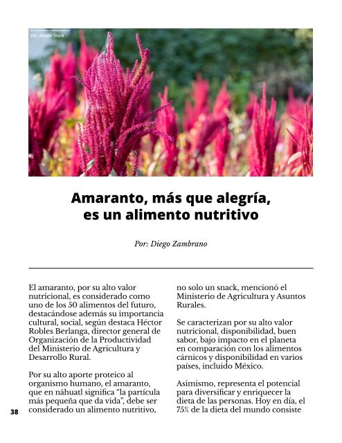 Regionalización contra Globalización-Quién es Quién Sin Fronteras 9a edición Noviembre 2022 - RQQsF