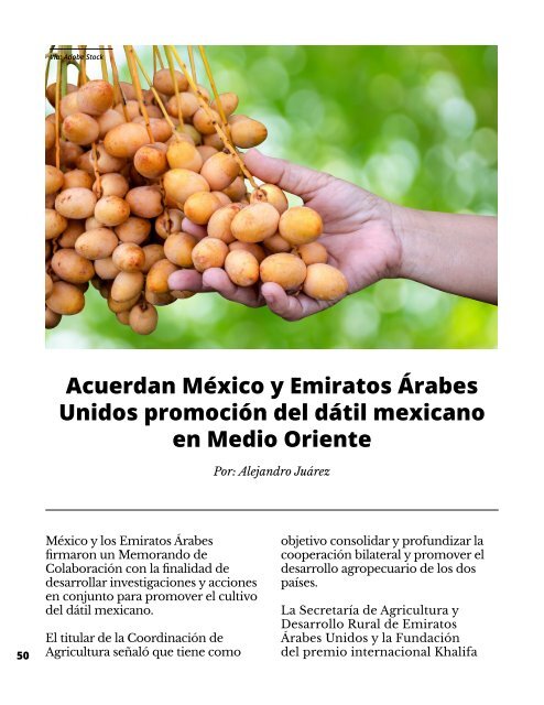 Regionalización contra Globalización-Quién es Quién Sin Fronteras 9a edición Noviembre 2022 - RQQsF