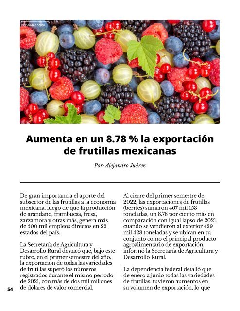 Regionalización contra Globalización-Quién es Quién Sin Fronteras 9a edición Noviembre 2022 - RQQsF