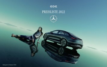Mercedes-Benz-Preisliste--EQE-V295
