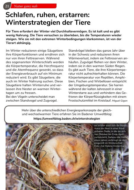 Baden aktuell Magazin Dezember 2022 – Januar 2023
