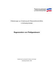 Regeneration von Fließgewässern - Auf zu neuen Ufern!