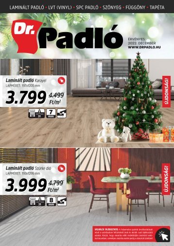 Dr. Padló szórólap | 2022. december