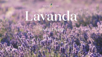 Lavanda y Young Living