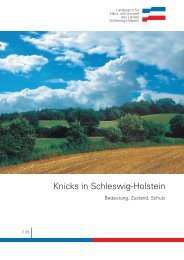 Knicks in Schleswig-Holstein
