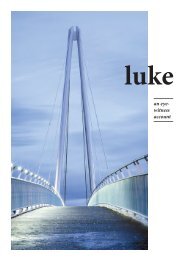 ukEng_iWitness Illstr Luke_READER+Cover_20221201-Single pp