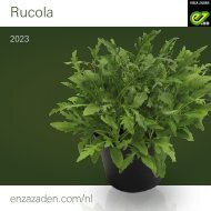 Rucola 2023