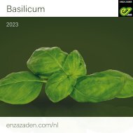 Basilicum 2023