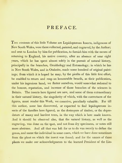 A Natural History of Lepidopterous of NSW by John William Lewin