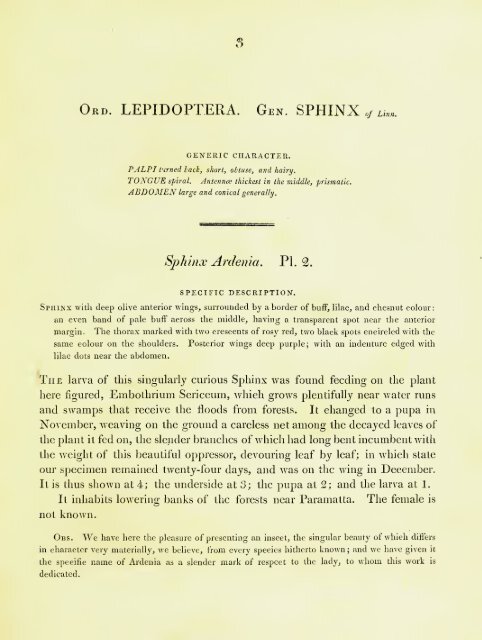 A Natural History of Lepidopterous of NSW by John William Lewin