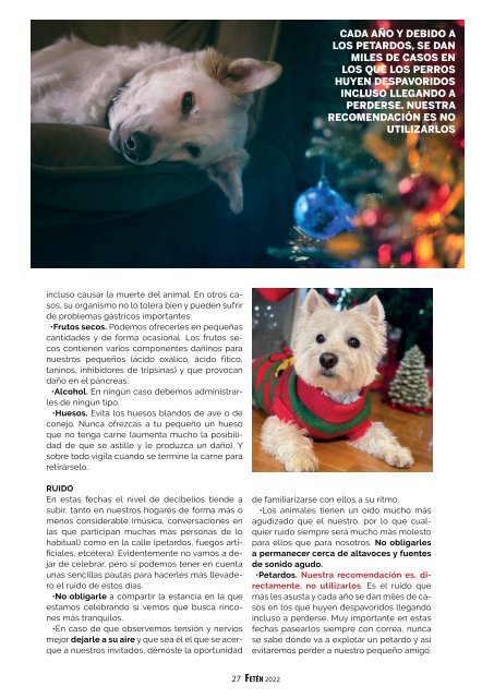 Revista Fetén 2