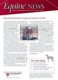 issue - Washington State University College of Veterinary Medicine