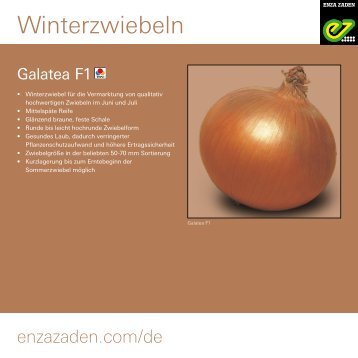 Leaflet Winterzwiebeln 2022