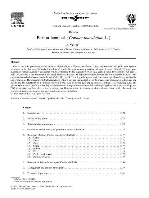 Poison hemlock (Conium maculatum L.)
