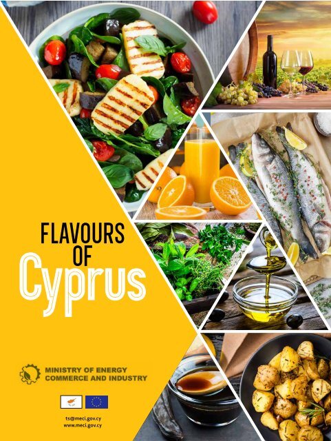 2022-2023 Cyprus Country Report