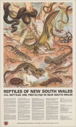 NPWS posters