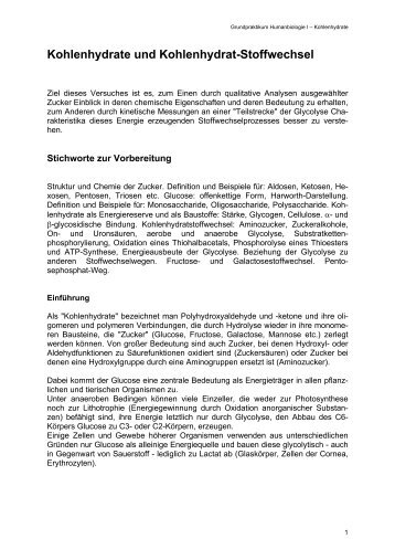 Kohlenhydrate und Kohlenhydrat-Stoffwechsel - Online Media Server