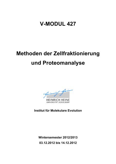 Amphoterer Charakter von Aminosäuren zur Gewichtsreduktion Amphoterer Charakter von Aminosäuren zur Gewichtsreduktion