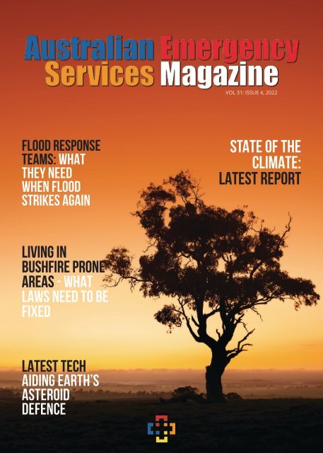 AESM Vol 31, ISSUE 4 2022 
