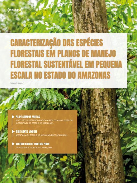 Florestal_247Web