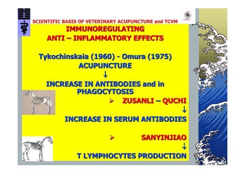 Scientific Basis of Veterinary Acupuncture and TCVM - SIAV