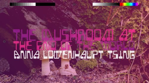 ENGL 4010: The Mushroom at the End of the World (SP23)