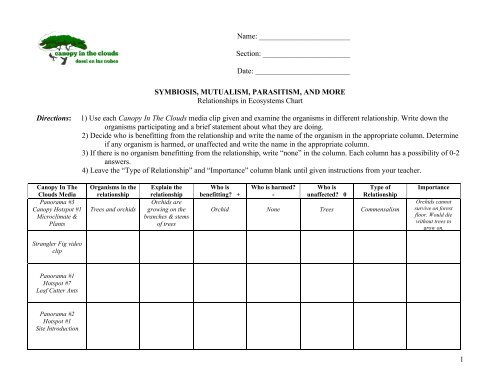 Symbiosis Chart