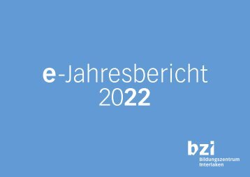 bzi_e-Jahresbericht_2022