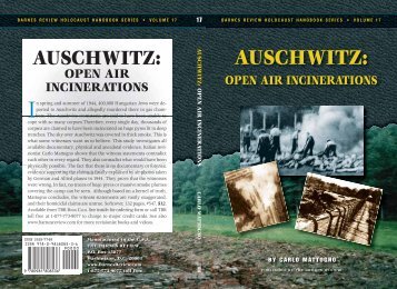 auschwitz: open air incinerations - Holocaust Handbooks