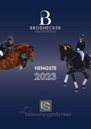 Dressurhengste Schleier - Hengste 2023