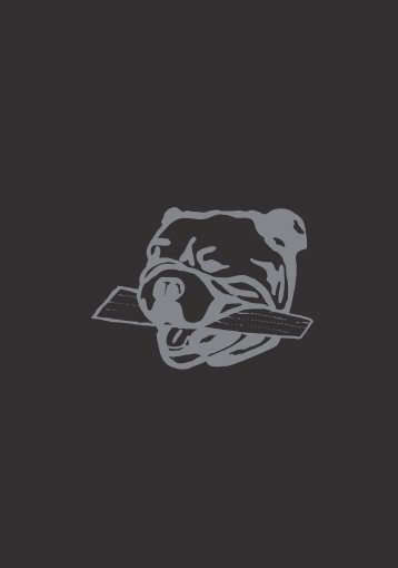 Kaminöfen IRON DOG® | BRUNNER Broschüre 