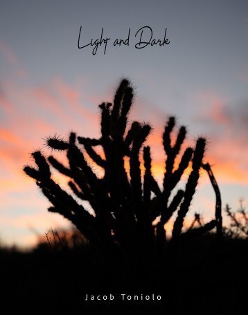 Light & Dark by Jacob Toniolo