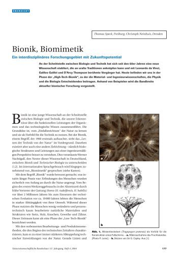 Bionik, Biomimetik - Naturwissenschaftliche Rundschau