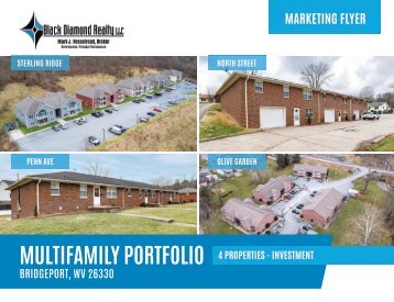 Multifamily Portfolio [Investment] Marketing Flyer