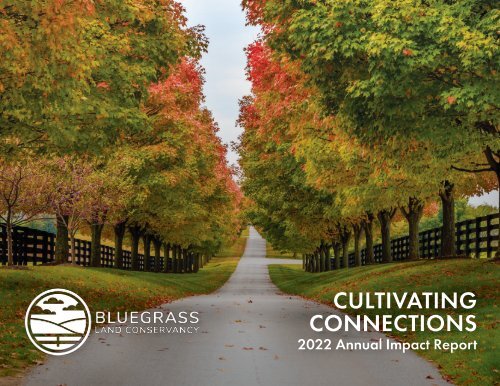 2022 Annual Impact Report