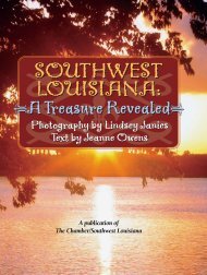 Southwest Louisiana-ATreasureRevealed_EPUB