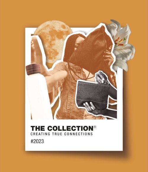 The Collection 2023 - ENU