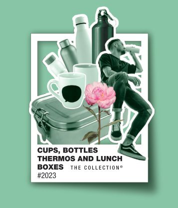 Cups, bottles, thermos and lunch boxes - ENU