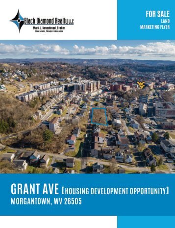 Grant Ave Development Marketing Flyer