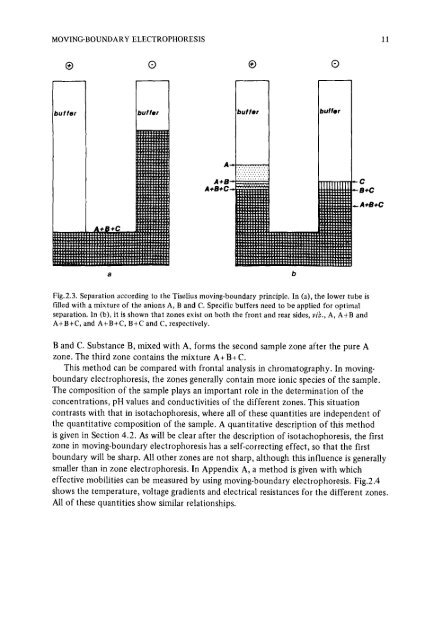 Frans_M_Everaerts_Isotachophoresis_378342.pdf