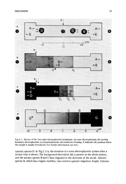 Frans_M_Everaerts_Isotachophoresis_378342.pdf